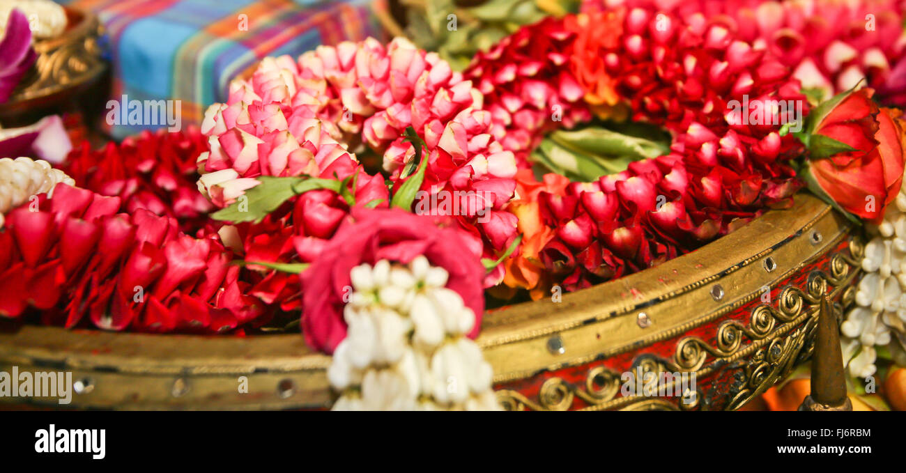 Long Beacgh, Californie, USA. Feb 27, 2016. Le Los Angeles Travel & Adventure Show est venu à la Long Beach Convention Centre du 27 et 28 février 2016 apporter avec elle des centaines des meilleurs fournisseurs de services de voyage et de destination qui partagent les experts conseils de voyage et des secrets d'initié, de permettre aux voyageurs de planifier et personnaliser leur prochaine aventure, et proposons des offres de voyage. Tous les visiteurs ont droit à un marché culturel hautement interactif de cuisine internationale, de la musique, de la danse, celebrity enceintes de voyage, les derniers gadgets de voyage et d'autres activités amusantes. (Crédit Image : © Craig D Banque D'Images