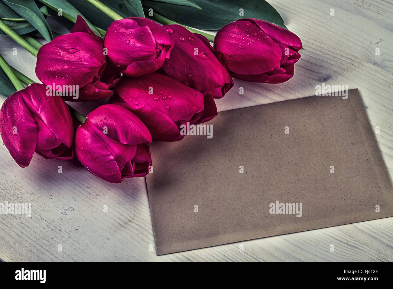 Tulipes violet rouge vintage avec feuille de papier Banque D'Images