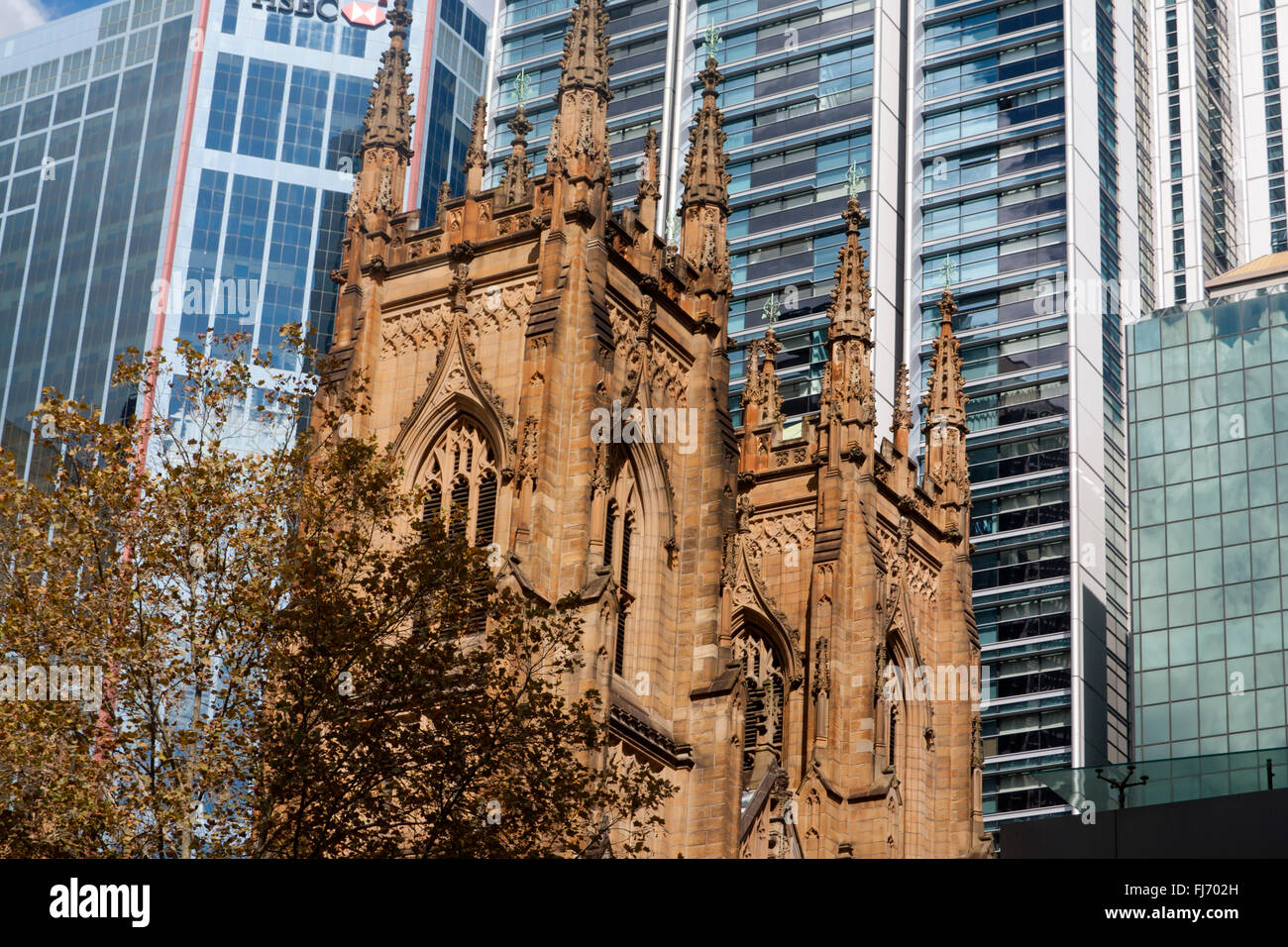 La Cathédrale de Saint Andrew's Anglican Church towers Sydney NSW Australie Banque D'Images