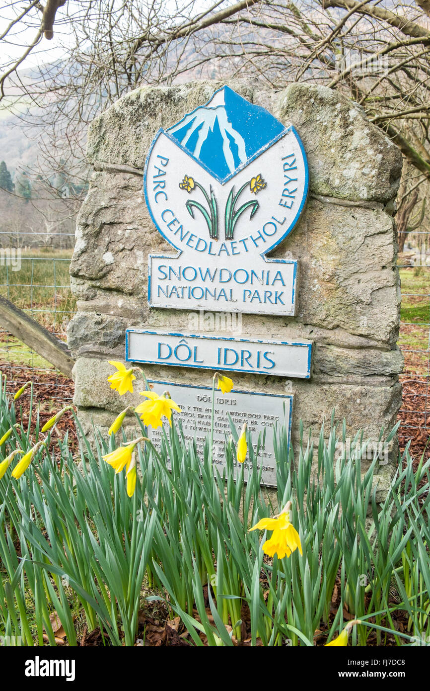 À la base de Cader Idris Cadair,montagne,dans le parc national de Snowdonia, Nord, Pays de Galles, Royaume-Uni Chemin Minffordd itinéraire. Banque D'Images