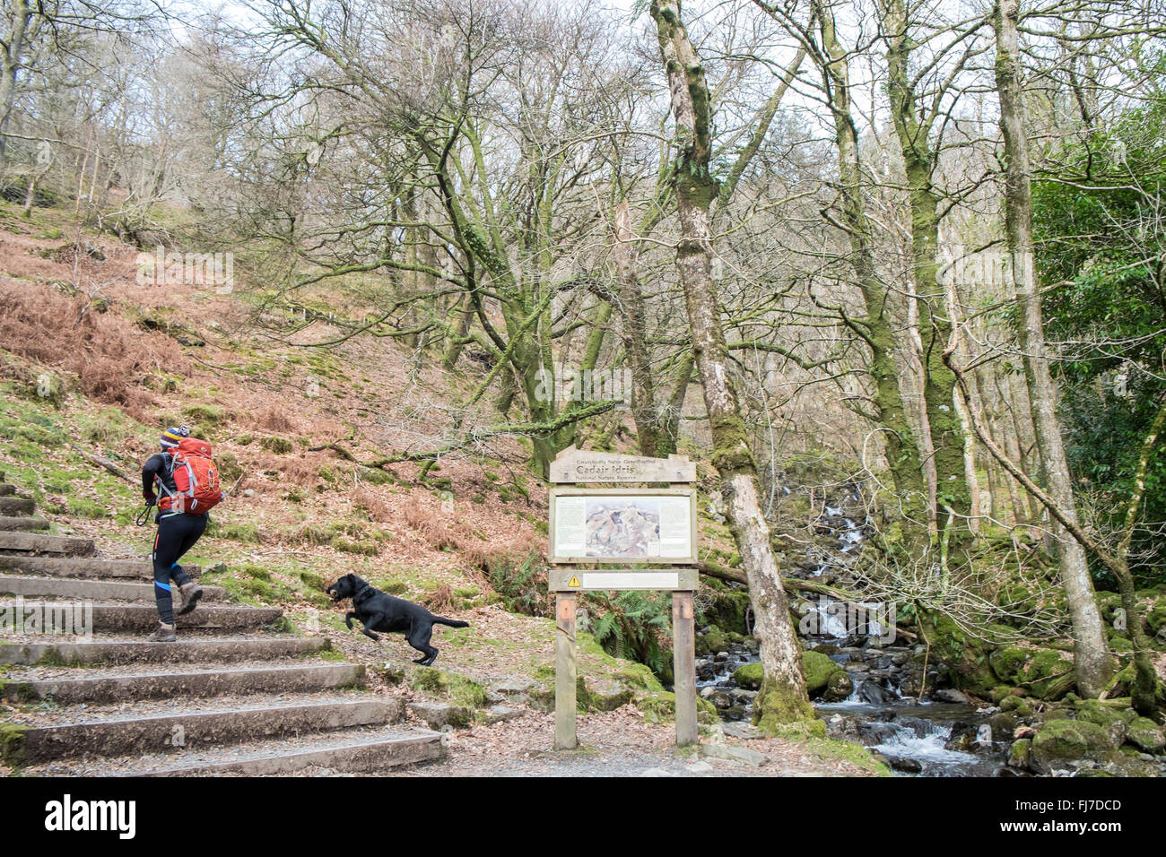 À la base de Cader Idris Cadair,montagne,dans le parc national de Snowdonia, Nord, Pays de Galles, Royaume-Uni Chemin Minffordd itinéraire. Banque D'Images