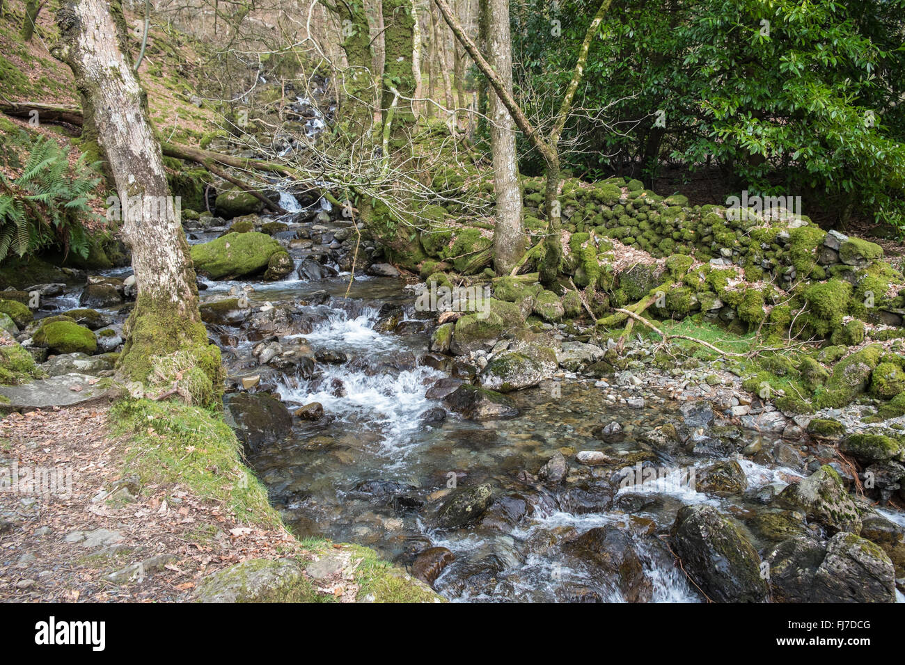 À la base de Cader Idris Cadair,montagne,dans le parc national de Snowdonia, Nord, Pays de Galles, Royaume-Uni Chemin Minffordd itinéraire. Banque D'Images