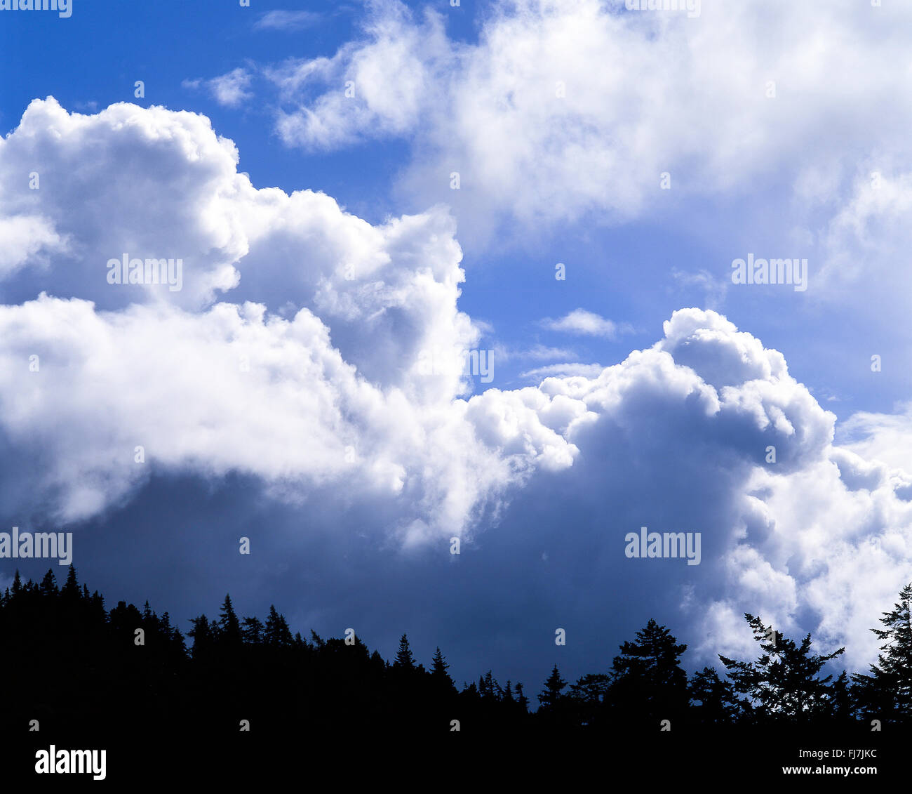 Les nuages de tempête qui approche, Berkshire, Angleterre, Royaume-Uni Banque D'Images