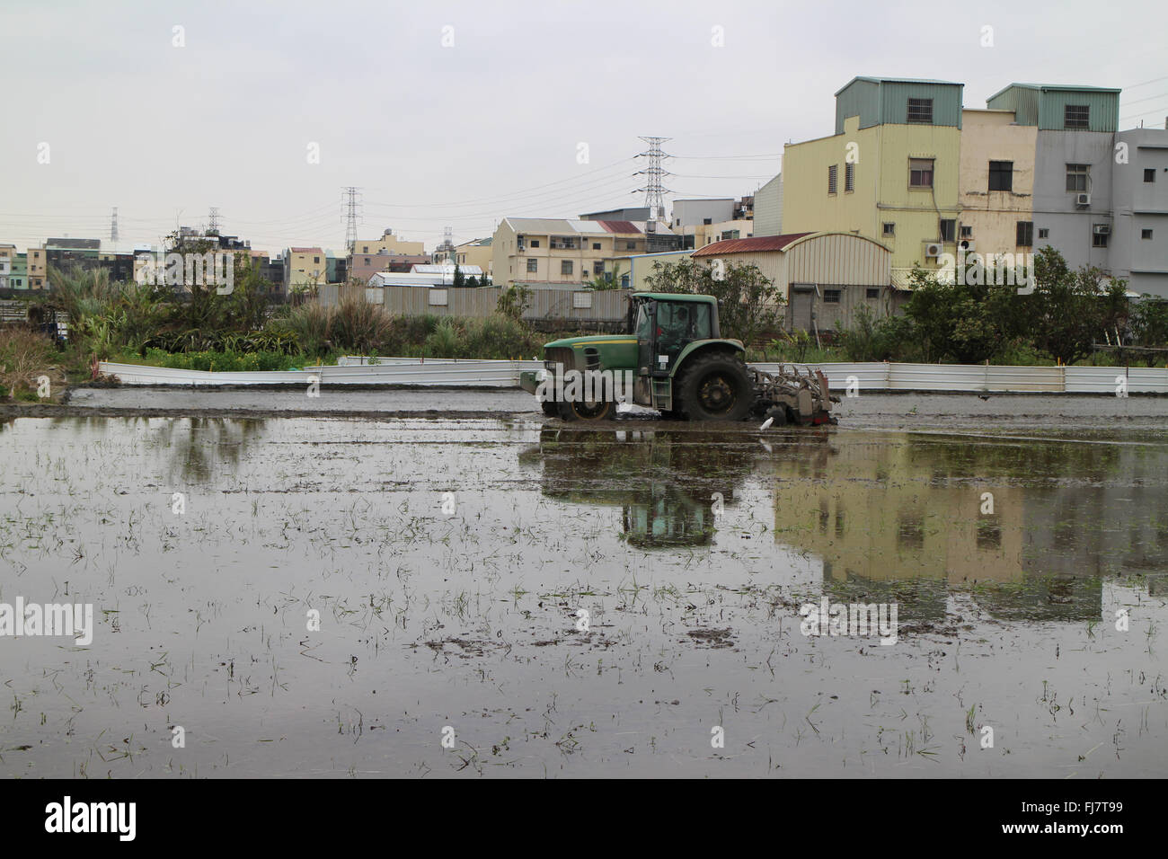 Semoir modernes de riz à Taiwan,agriculteur conduire le tracteur machine Travailler le sol,la machine du tracteur, la planteuse de riz Banque D'Images