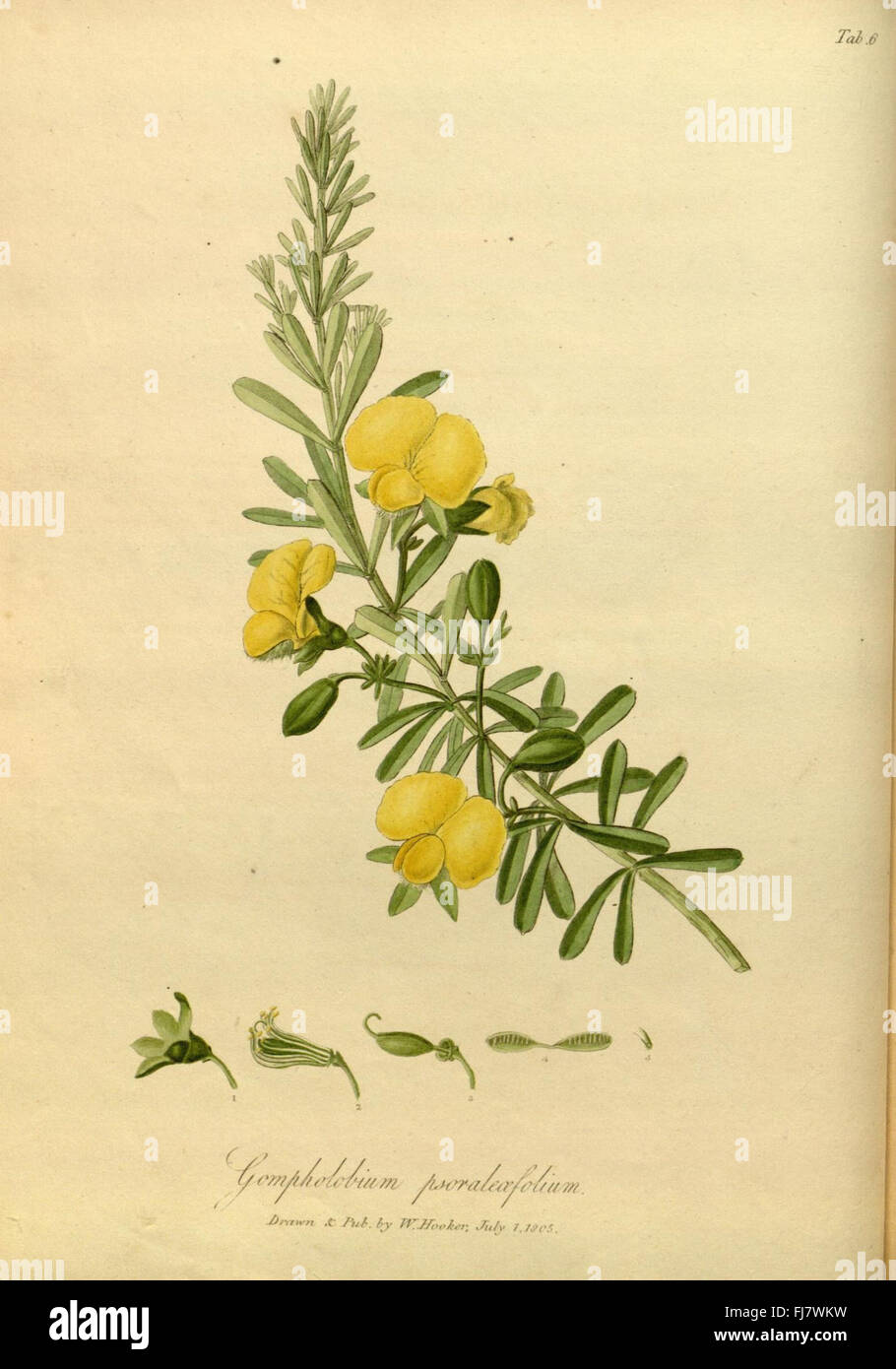 Les fleurs du mal/1861/sépulture le Banque D'Images