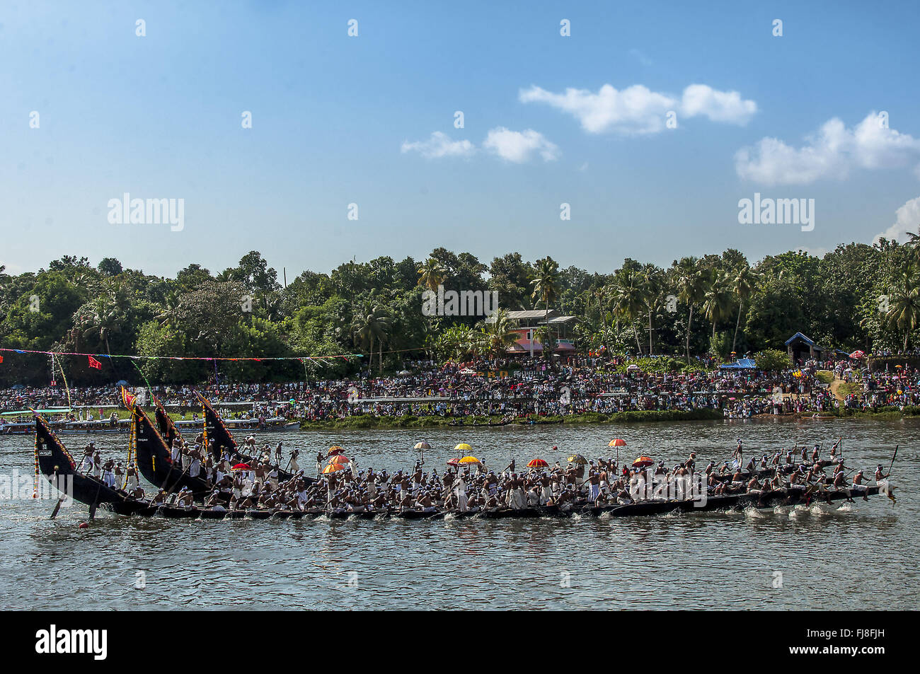 Courses de bateaux serpents, onam festival, Kerala, Inde, Asie Banque D'Images