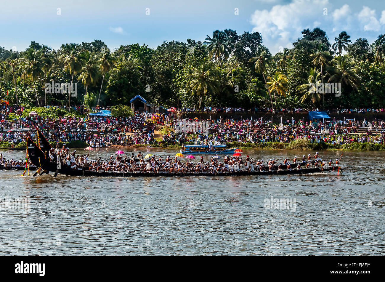 Courses de bateaux serpents, onam festival, Kerala, Inde, Asie Banque D'Images