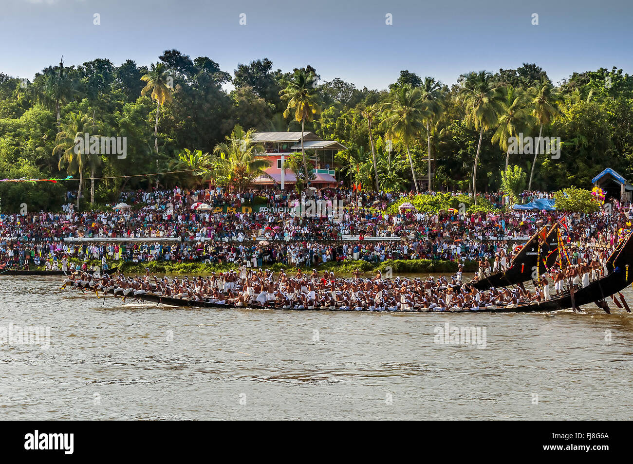 Courses de bateaux serpents, onam festival, Kerala, Inde, Asie Banque D'Images
