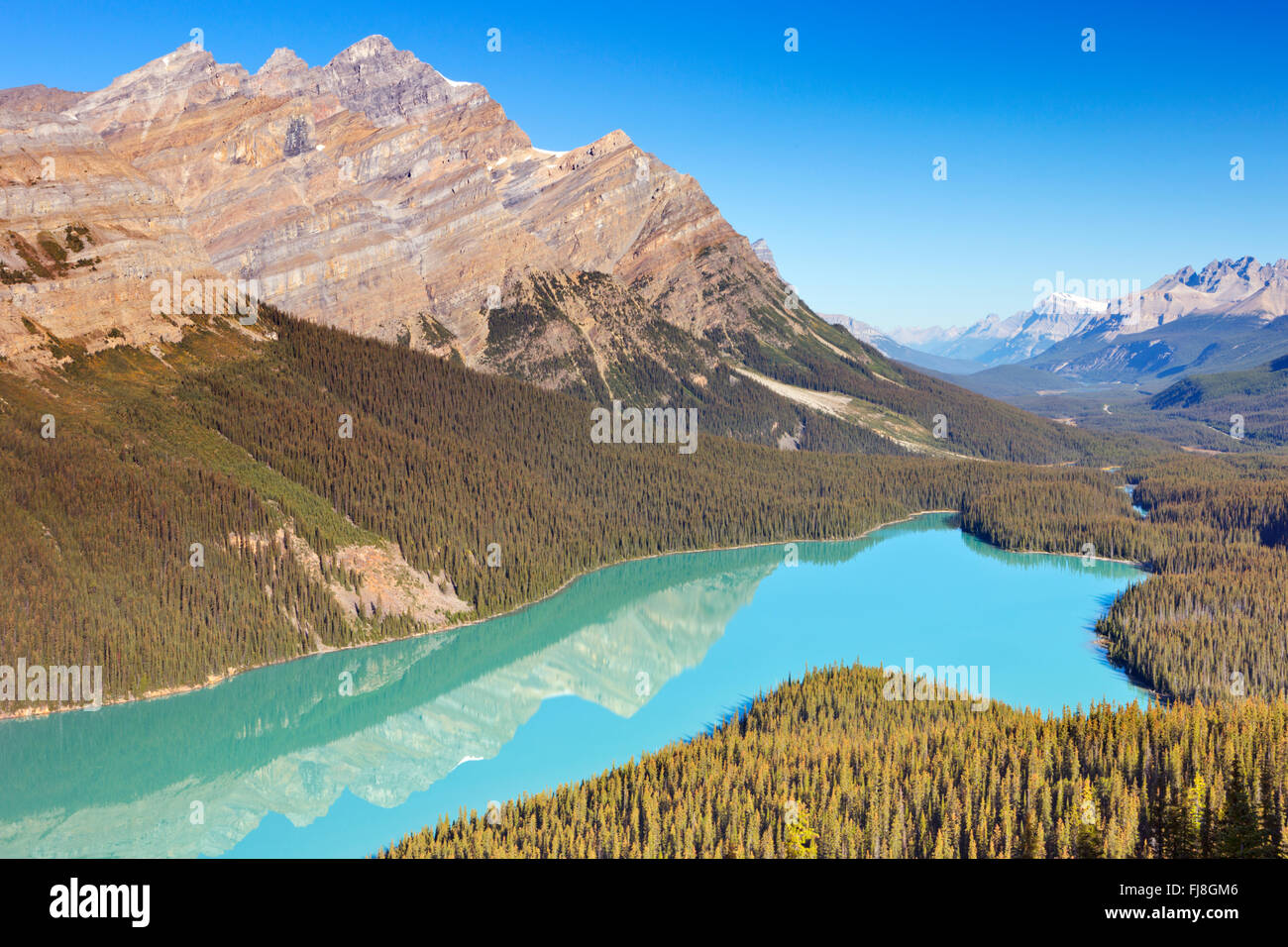 Le lac Peyto, dans le parc national Banff, Canada. Photographié sur une belle journée ensoleillée avec un ciel bleu clair. Banque D'Images