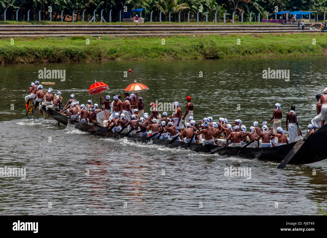 Courses de bateaux serpents, onam festival, Kerala, Inde, Asie Banque D'Images