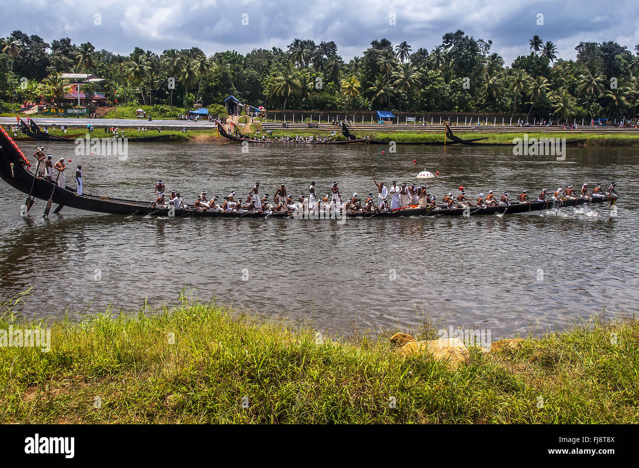 Courses de bateaux serpents, onam festival, Kerala, Inde, Asie Banque D'Images
