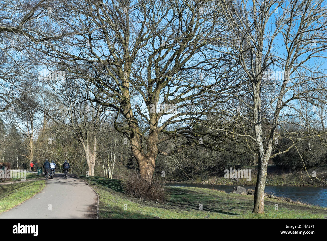 Les cyclistes sur piste, le Taff à côté de la rivière Taff, Bute Park, Cardiff. Banque D'Images