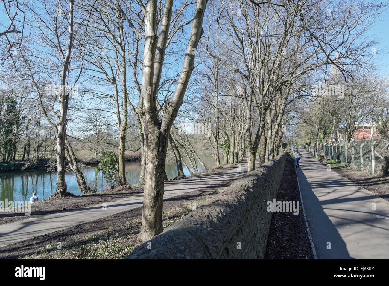 Deux chemins, le Taff Trail l'adn ce qui aurait été le vieux pays raod à au nord de Cardiff. Banque D'Images