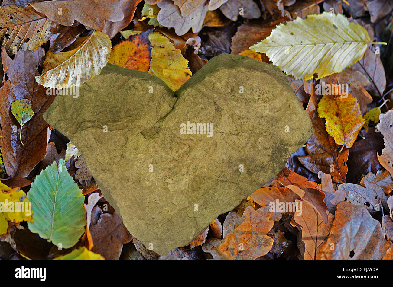 Coeur de pierre sur les feuilles Banque D'Images
