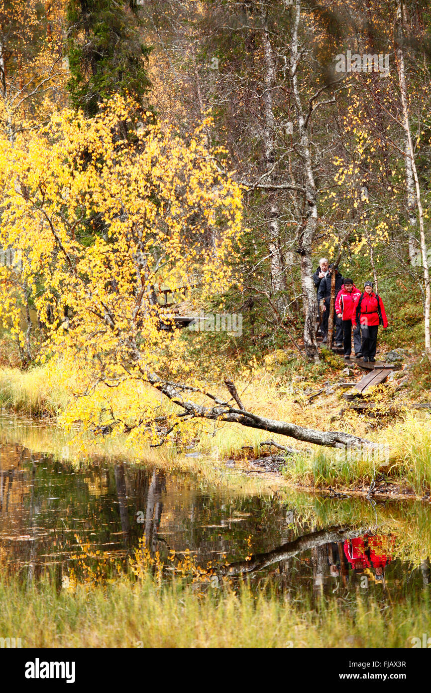 La Finlande ; Sentier Karhunkierros - the great bear trail randonnée en Laponie Banque D'Images