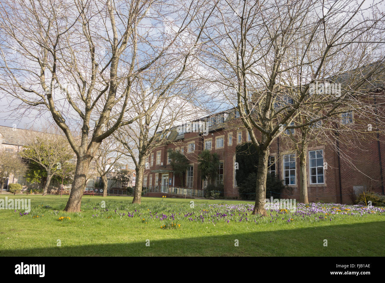 L'Université d'Exeter St Luke's Campus - à la recherche sur les pelouses de l'édifice de la bibliothèque vers le quadrangle Banque D'Images