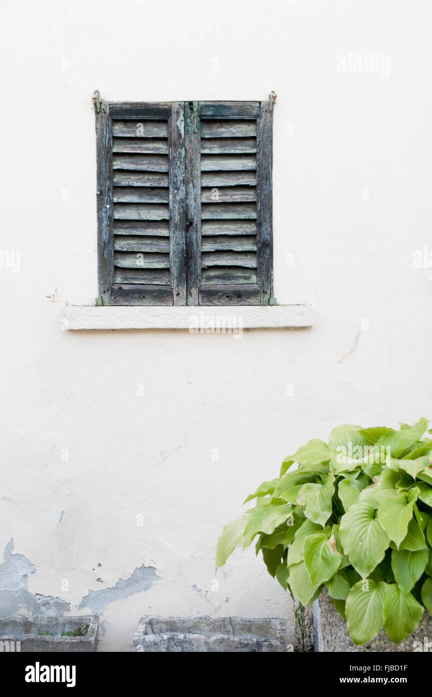 Volets aux fenêtres et des plantes en pots, Italie Banque D'Images