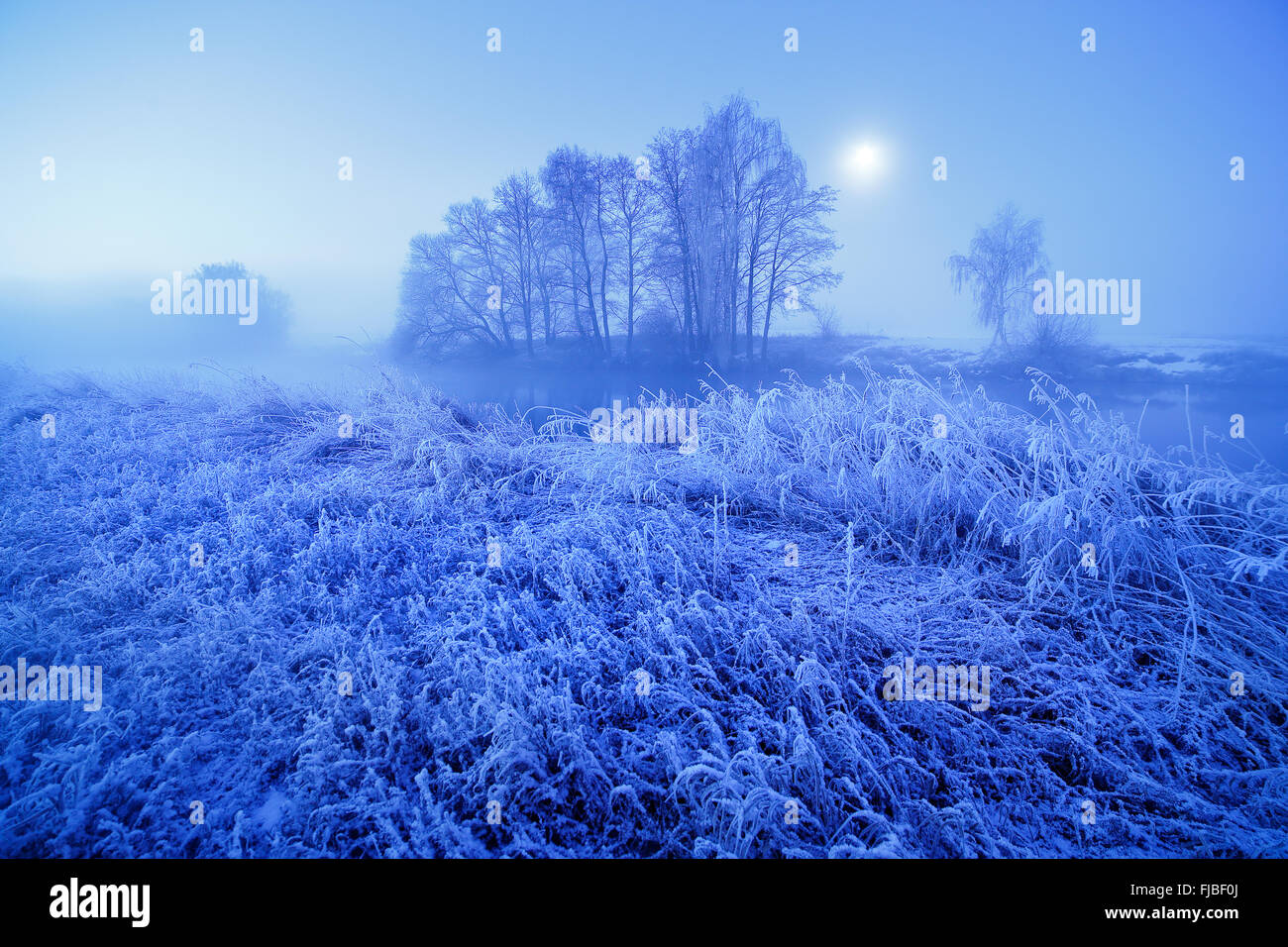 Hiver lune nuit brumeuse. La neige et le givre sur l'herbe. Bélarus Banque D'Images