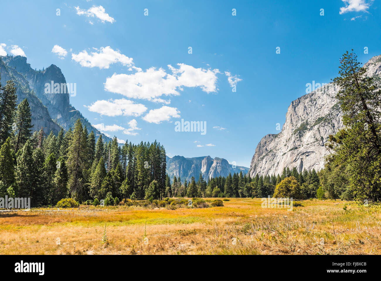 Marais à l'automne en vallée de Yosemite, Yosemite National Park, California, USA Banque D'Images
