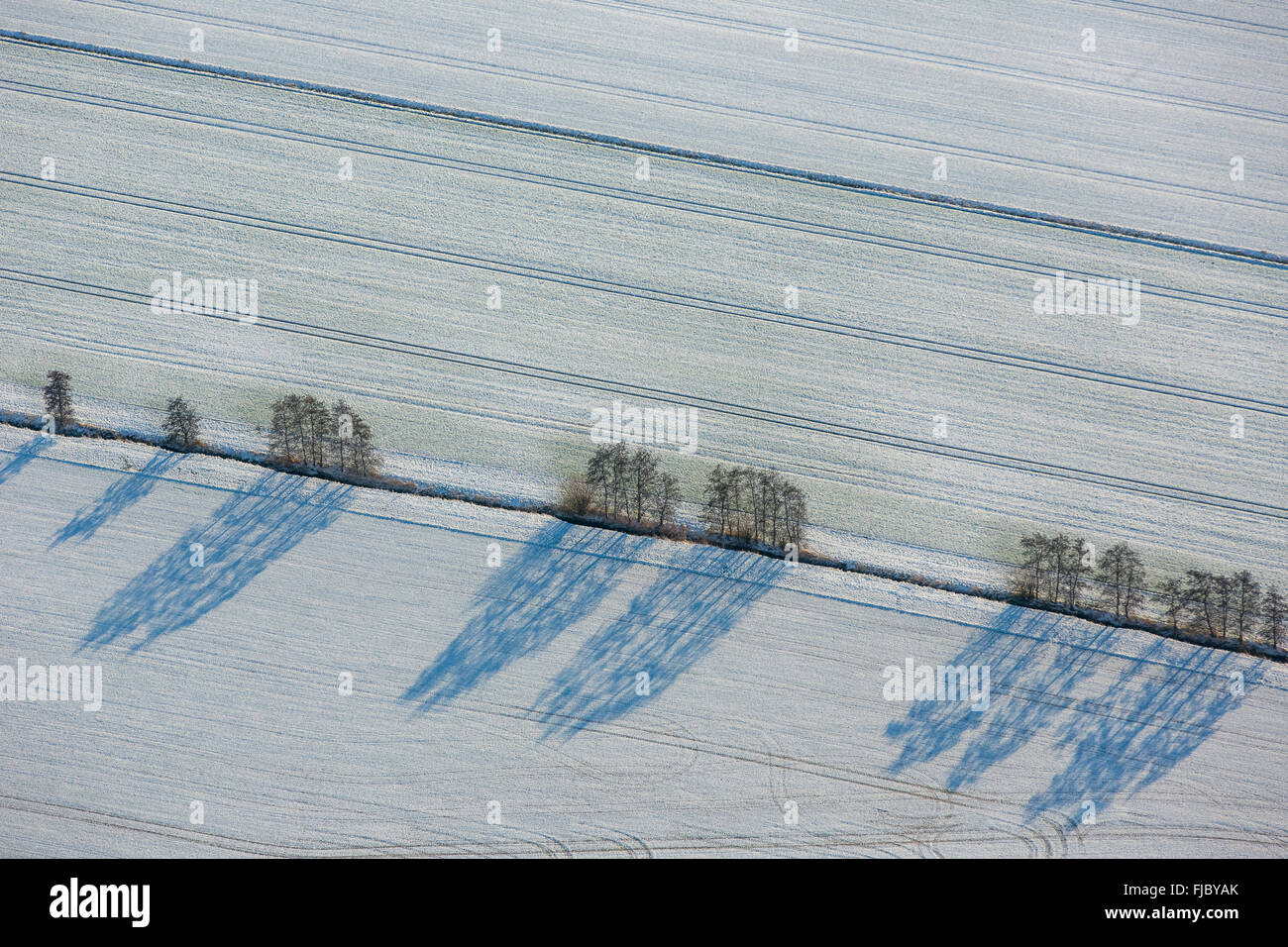 Les champs avec de la neige, Creek d'arbres et de grandes ombres dans l'hiver, à Werl, Rhénanie du Nord-Westphalie, Rhénanie-Palatinat, Allemagne Banque D'Images