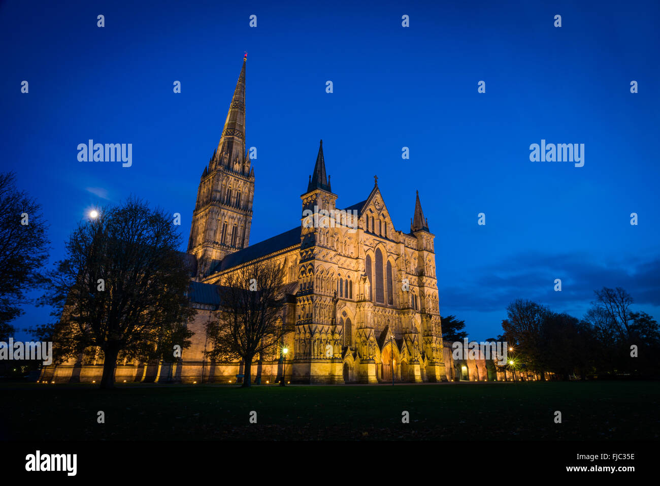 La cathédrale de Salisbury dans la nuit Banque D'Images