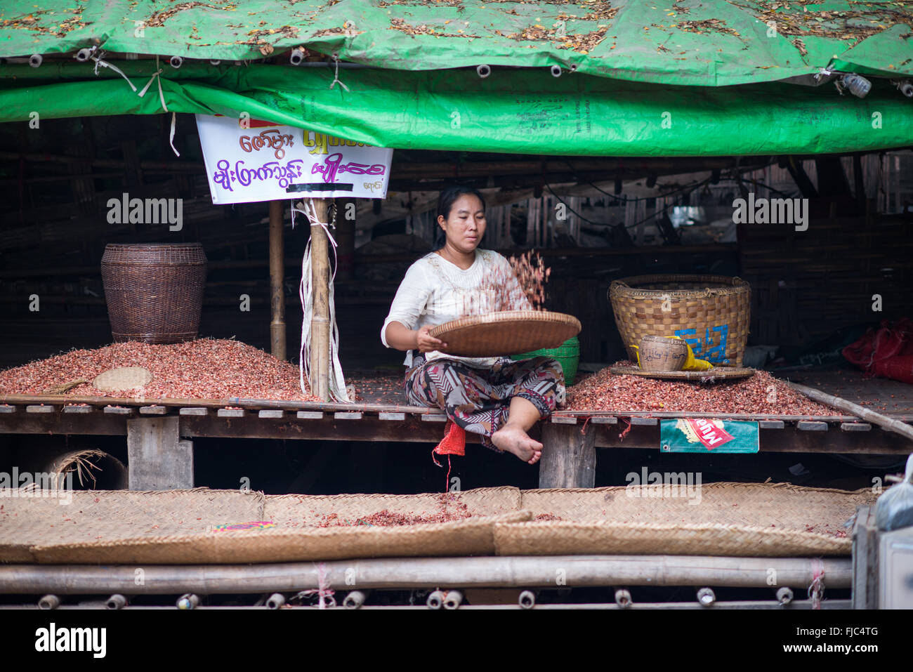 Traitement de l'oignon au marché Mandalay Myanmar // MANDALAY, Myanmar — Une femme utilise un panier plat tissé pour séparer la peau des petits légumes ressemblant à l'oignon au marché aux poissons et aux fleurs de Mandalay. Le marché, situé près de Pulaing Street, sert de plaque tournante pour les produits frais et les fruits de mer dans la deuxième plus grande ville du Myanmar. Mandalay, situé dans le centre du Myanmar le long de la rivière Ayeyarwady (également connu sous le nom d'Irrawaddy), est le centre culturel et religieux du pays. La ville était la dernière capitale royale du Myanmar avant la domination coloniale britannique et reste un important centre commercial. Traditionnel fo Banque D'Images