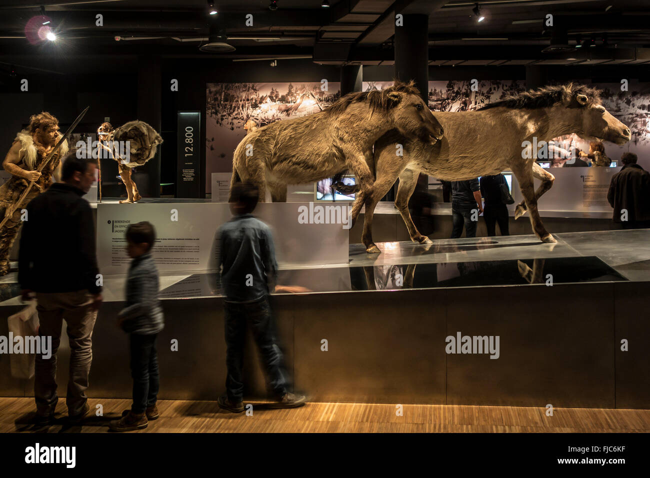 Les visiteurs à la recherche d'une autre époque et au Cro Magnon dans l'exposition / Gallo-Romeins Museum Gallo Romaine, Tongeren, Belgique Banque D'Images