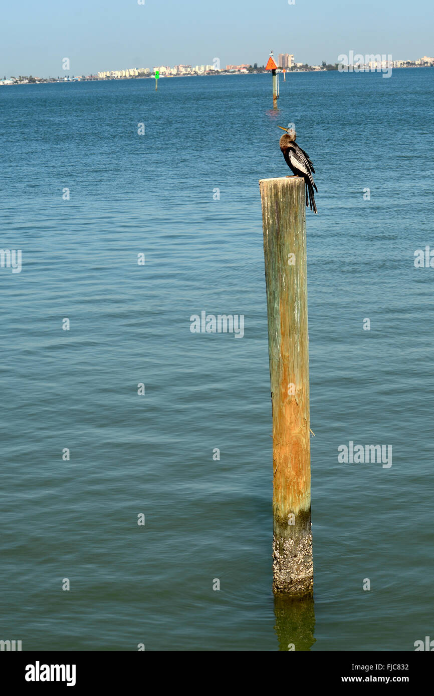Oiseau posé sur le canal en bateau en bois,marqueur post Banque D'Images