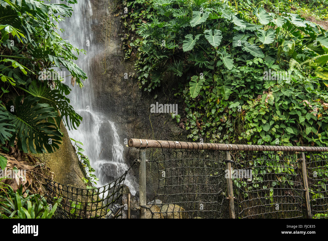 Une image montrant la cascade dans la forêt tropicale à l'Eden Project Biome Banque D'Images