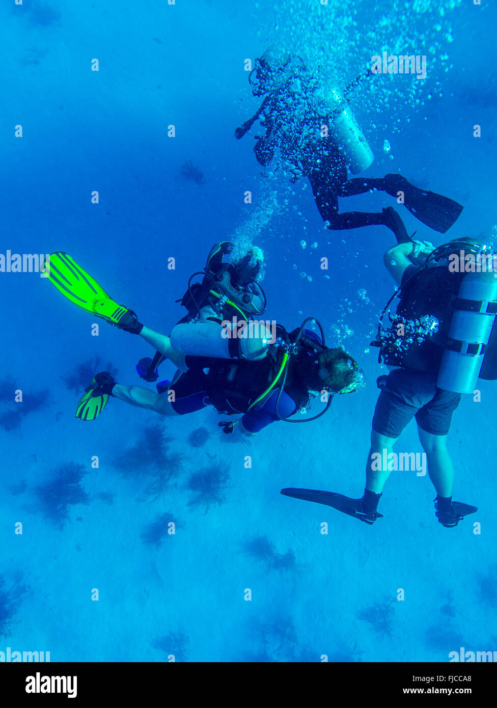 Groupe de plongeurs à 5 min d'arrêt de sécurité, Cuba Banque D'Images