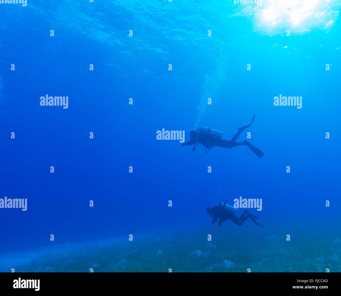 Groupe de plongeurs sous l'eau Banque D'Images