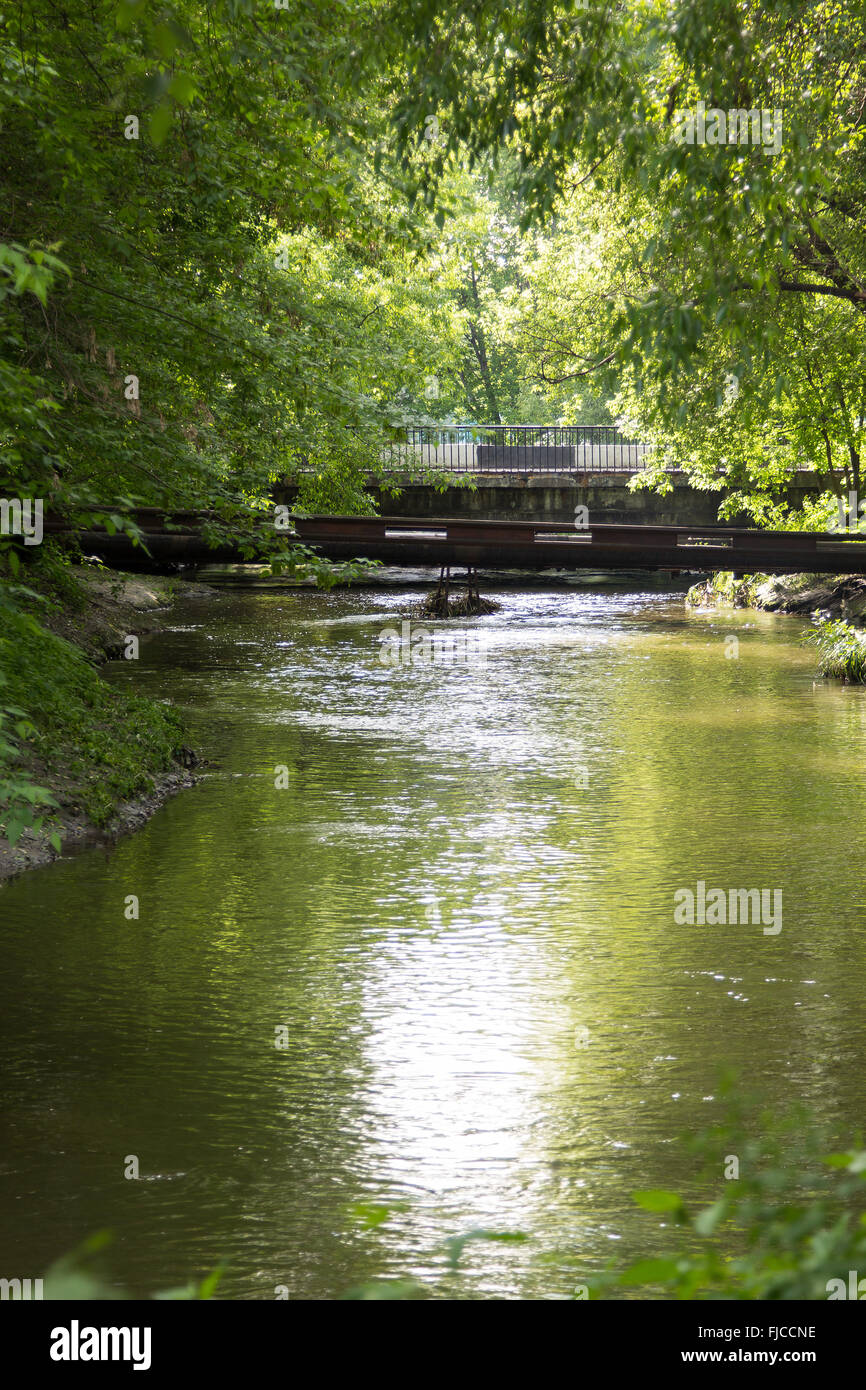 Béton vieux pont sur une petite rivière dans la forêt Banque D'Images