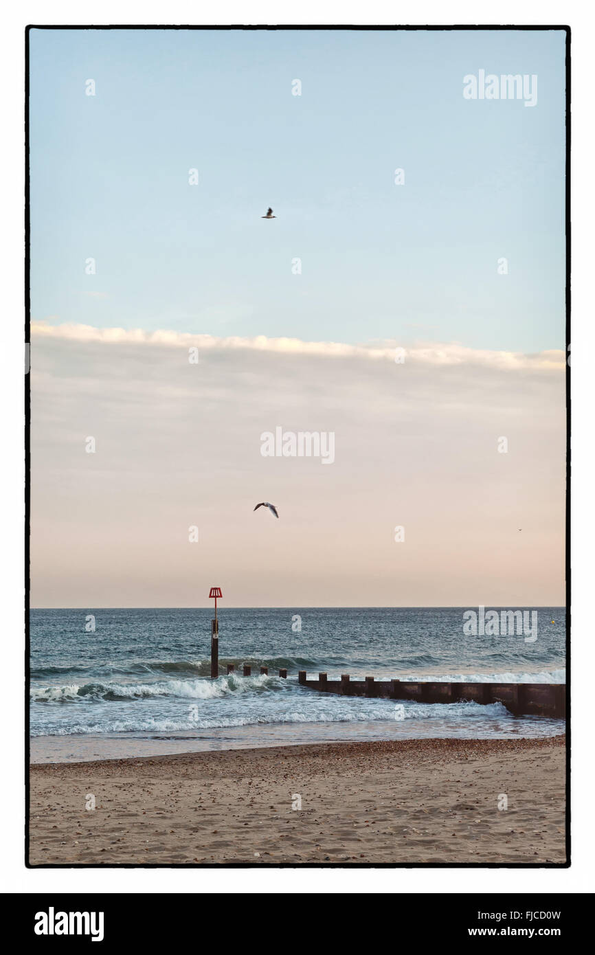 Une image couleur d'un coucher du soleil doré de la lumière avec la teinte rose, de deux oiseaux volant dans le ciel à la mer, à la plage de sable et de Banque D'Images