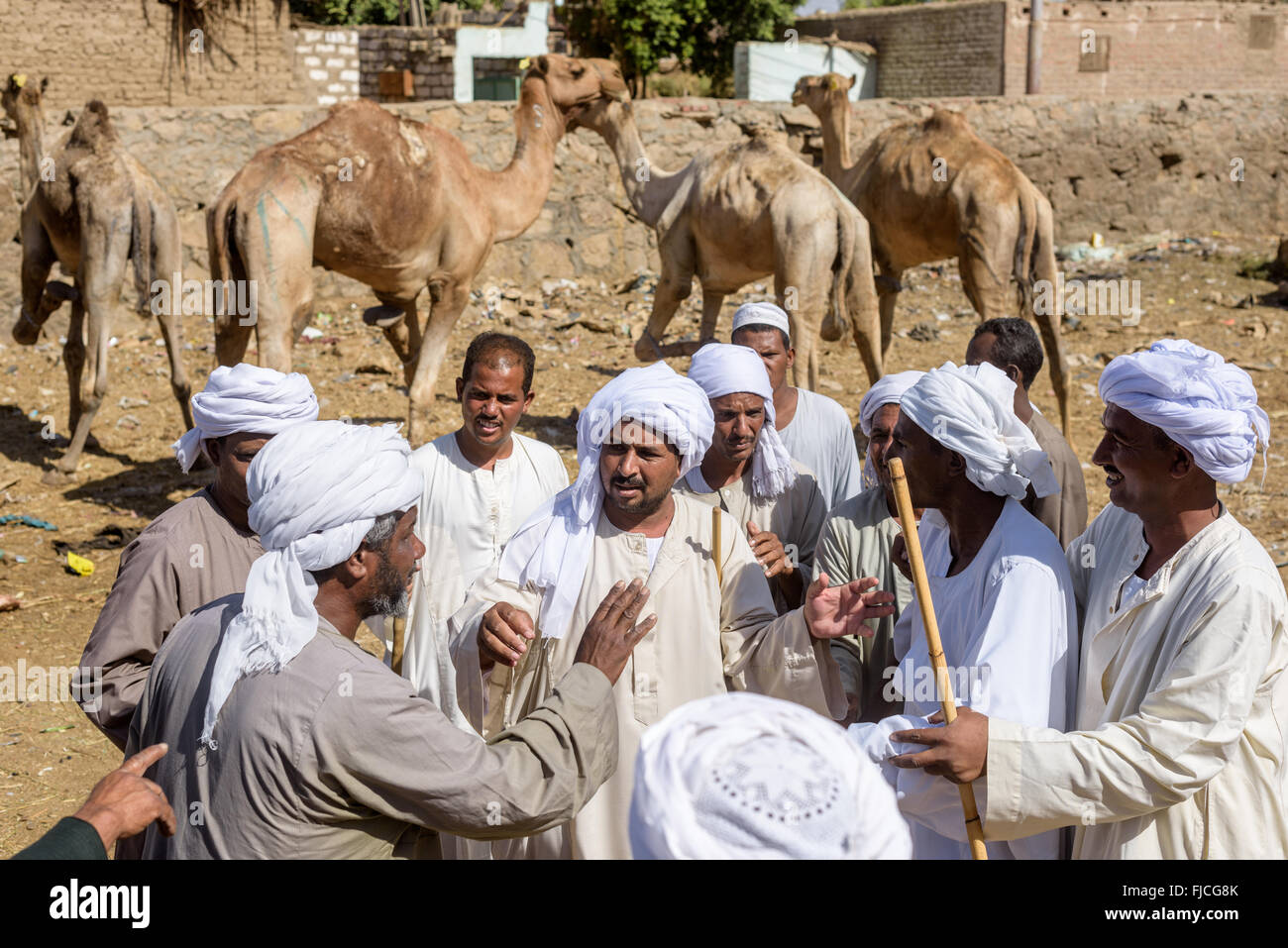 Groupe d'éleveurs de chameaux et de négociation des acheteurs difficiles à s'entendre sur le prix final de chameaux au cours d'un marché aux chameaux. Banque D'Images