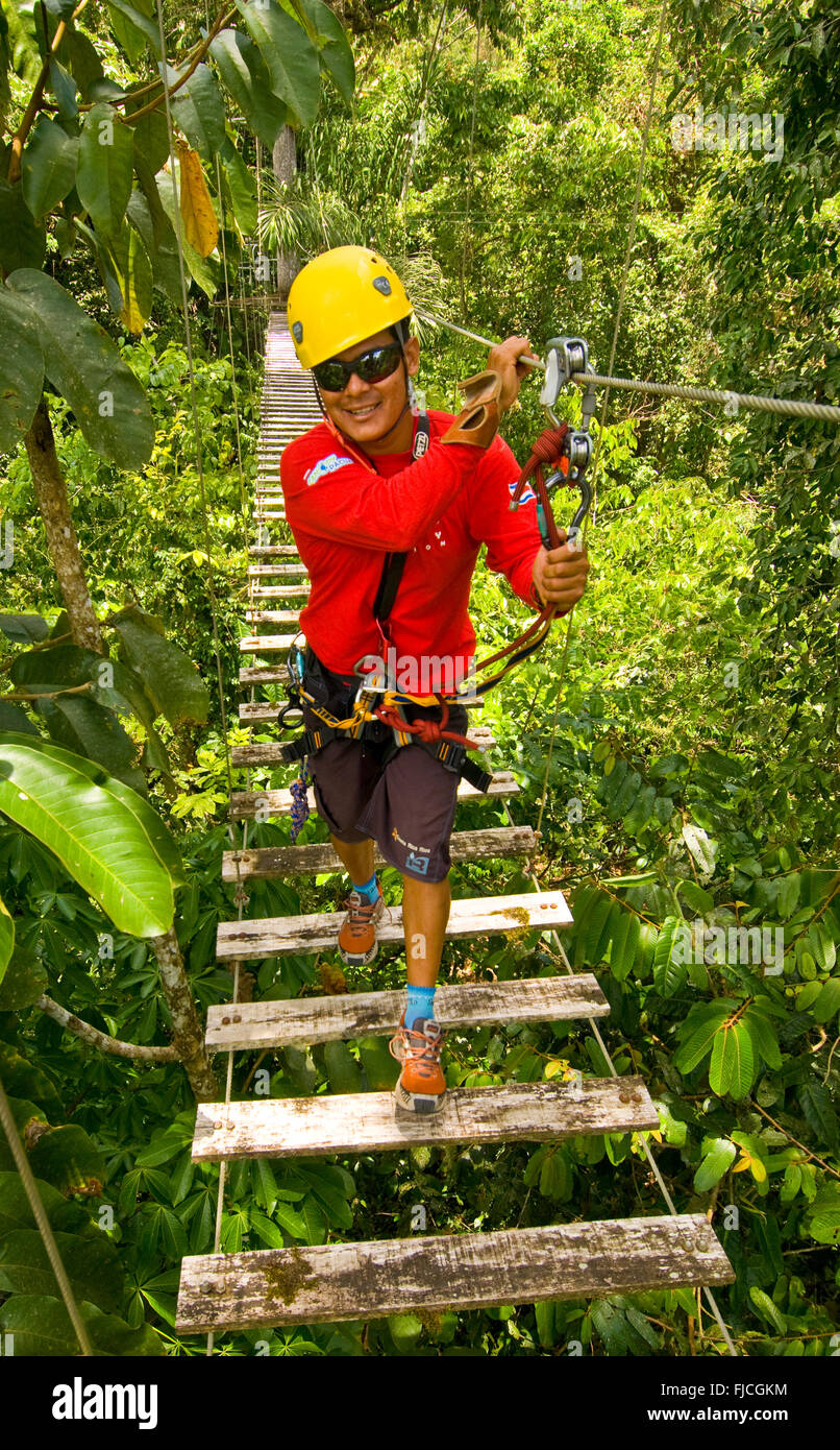 Jungle canopy Guide crossing bridge sur tour de tyrolienne, descente de la rivière Pacuare, Costa Rica Banque D'Images