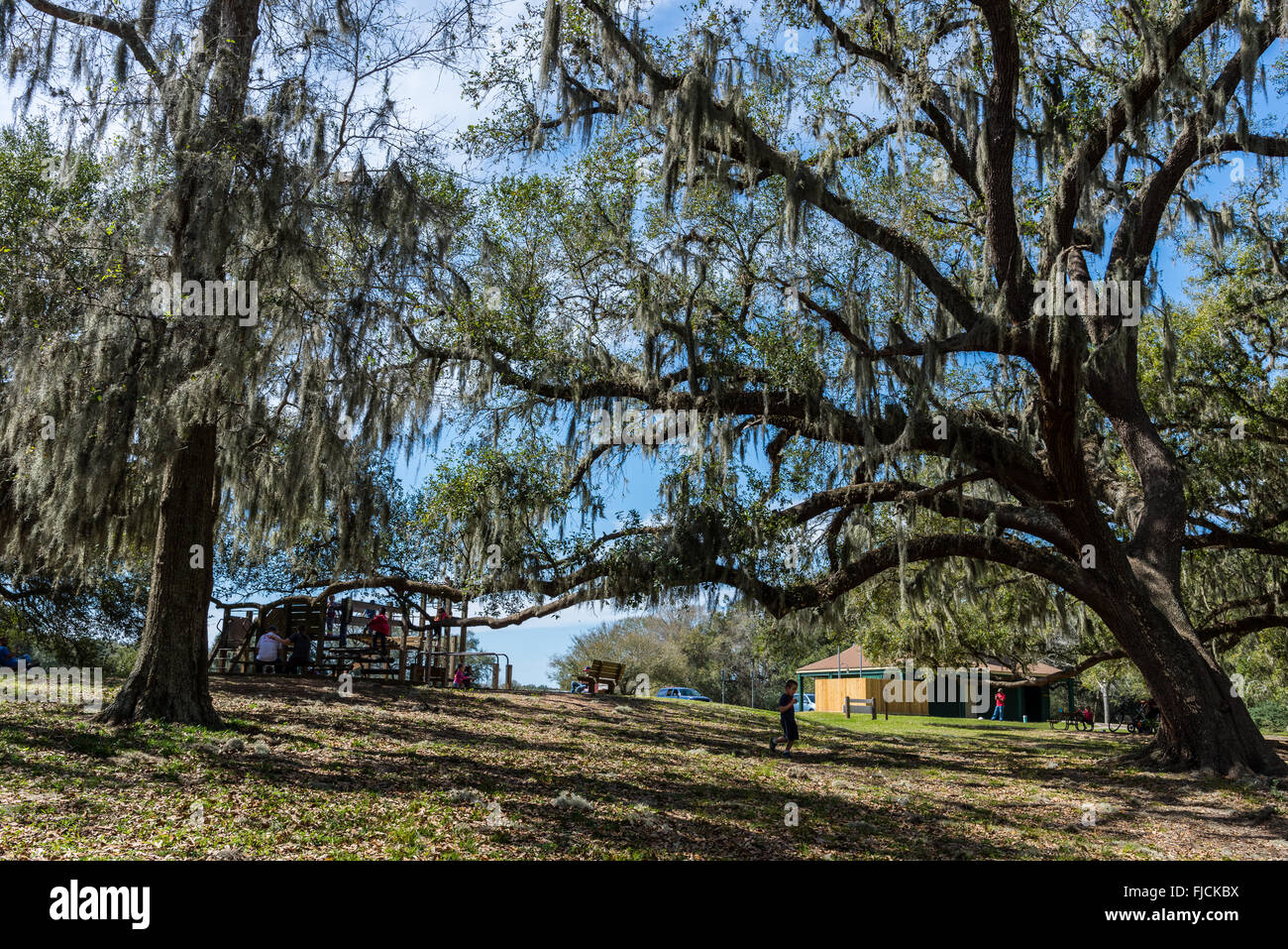 Les familles bénéficient d'pique-nique à la Brazos Bend State Park, Houston, Texas, USA. Banque D'Images