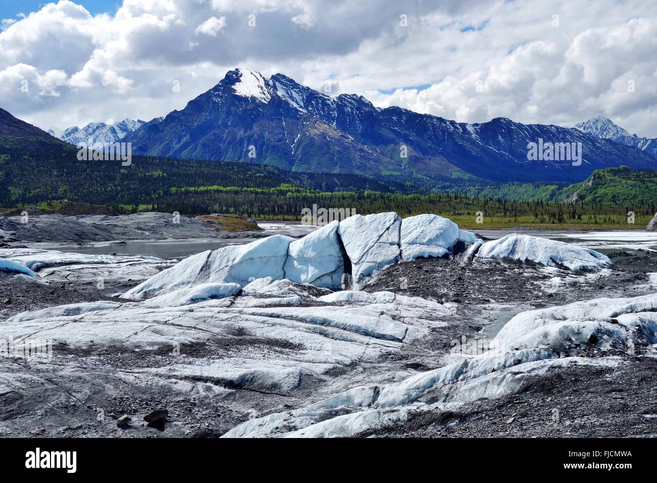 Kenai Fjords National Park en Alaska Banque D'Images