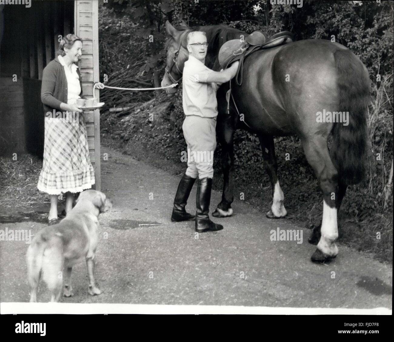 1968 - Le cheval maintenant arriver à la station de la banque. La plupart des navetteurs ville pense qu'ils ont assez de problèmes avec le train local à Londres sans avoir à larges feuilles accueil à 6 heures du matin pour couvrir 18 kilomètres en trois heures environ. Mais la plupart ne voyagent pas dans le même style que Bill Young businessman de Warlingham, Surrey. Pour obtenir son bay hunter en condition pour la saison de chasse M. Young a abandonné sa voiture avec sa grande soif d'essence dans laquelle il conduit normalement à son bureau de Londres en faveur d'une agréable randonnée d'alternative à une voiture, il pourrait s. (Après la promenade Wellington a il trouve le r Banque D'Images