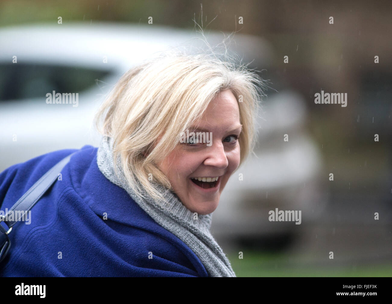 Liz Truss,secrétaire d'État à l'environnement, de l'alimentation et des affaires rurales au numéro 10 Downing Street pour une réunion du cabinet Banque D'Images