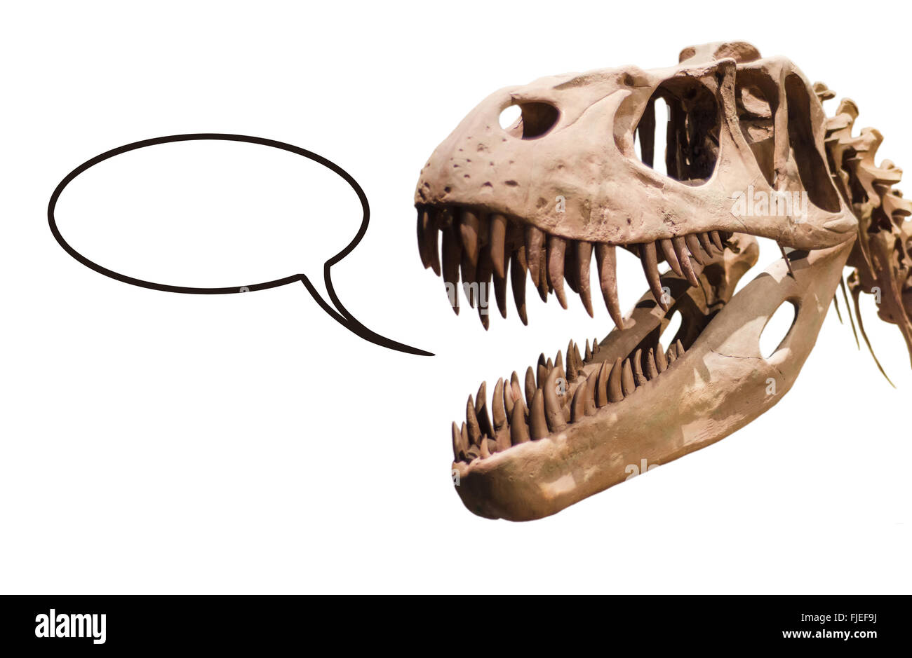 Tyrannosaurus Rex avec tête pensée vide ballon sur fond blanc avec copyspace isolé. Banque D'Images