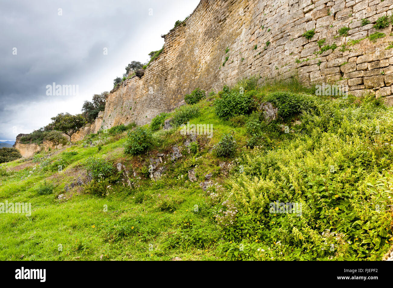 Vue latérale d'une partie des murs extérieurs de l'ancienne citadelle de Kuelap, dans le nord du Pérou. Banque D'Images