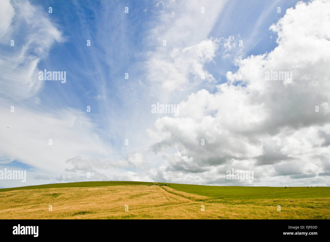 Lynmouth, Angleterre. Vue sur les pâturages et les terres agricoles sous ciel nuageux. Banque D'Images