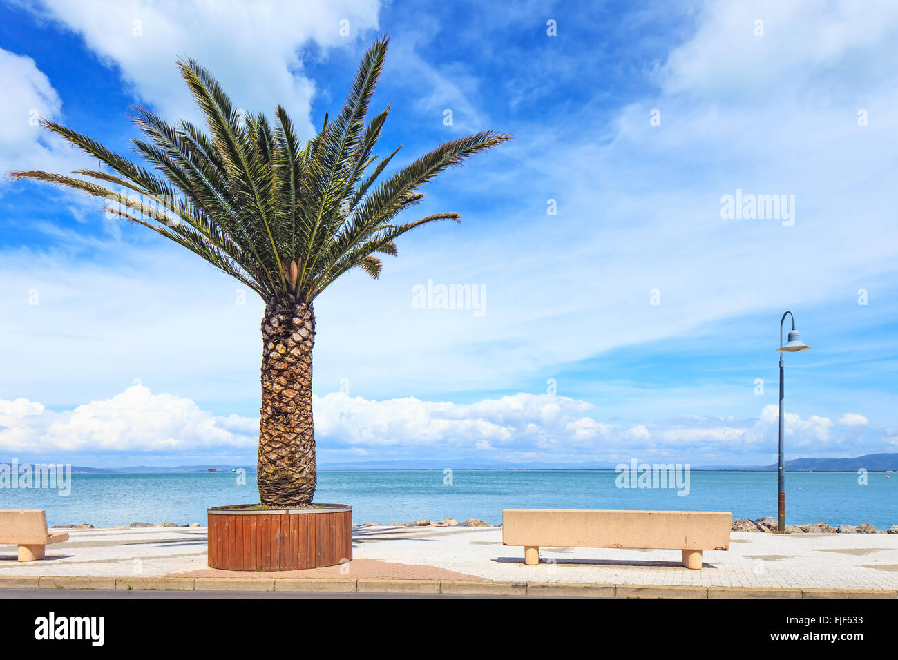 Palmier, banc et sur la mer à Porto Santo Stefano de destinations de voyage. L'Argentario, Toscane, Italie. Banque D'Images