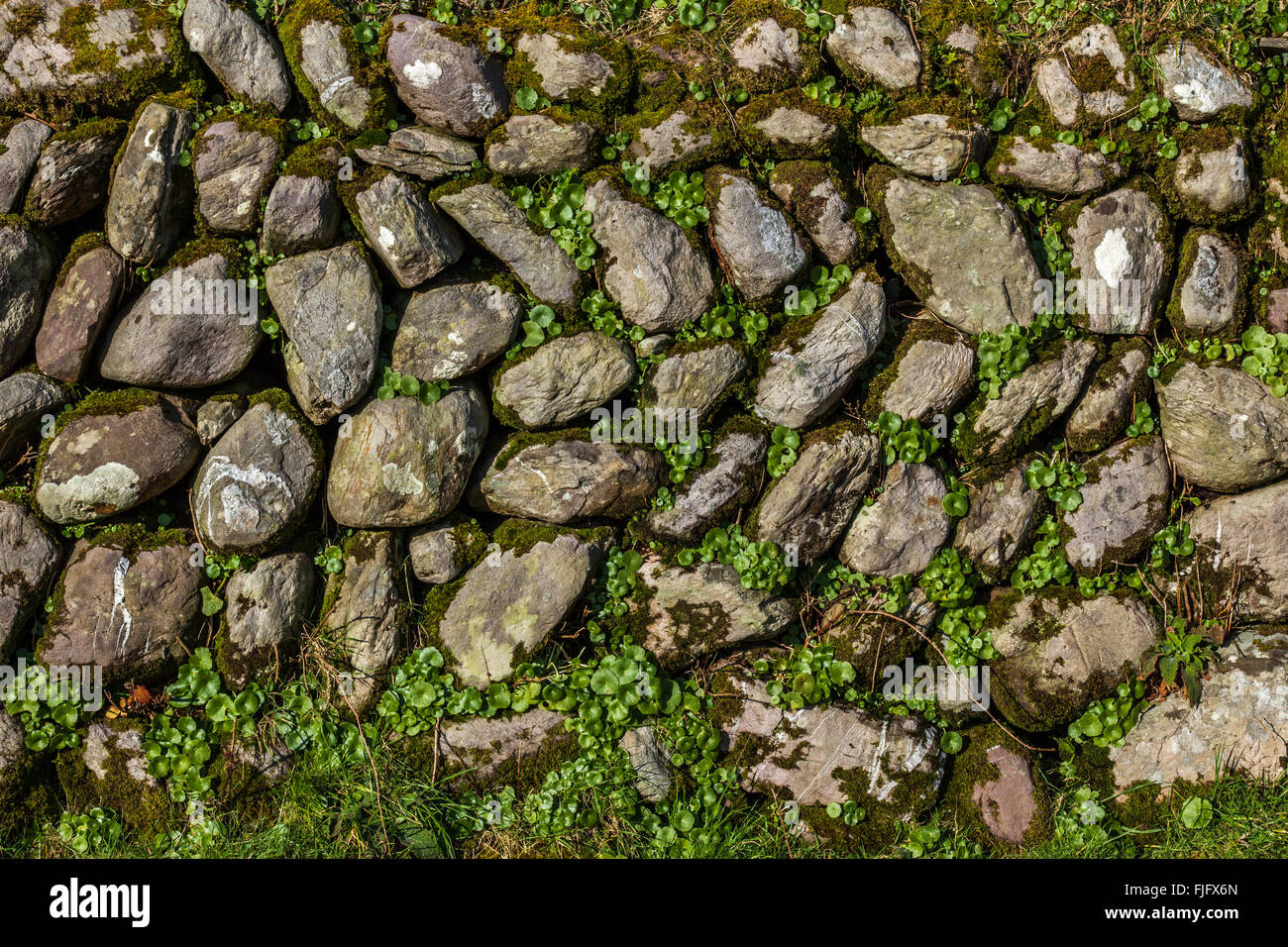 Une autre brique dans le mur Banque D'Images