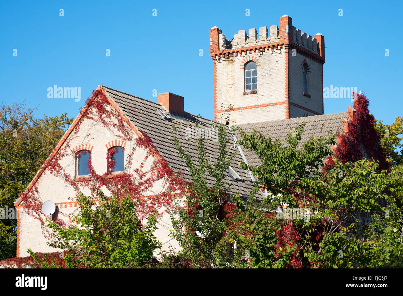 Observatoire d'oiseaux, Prerow, Darss, Fischland-darss-Zingst, Mecklembourg-Poméranie-Occidentale, Allemagne Banque D'Images