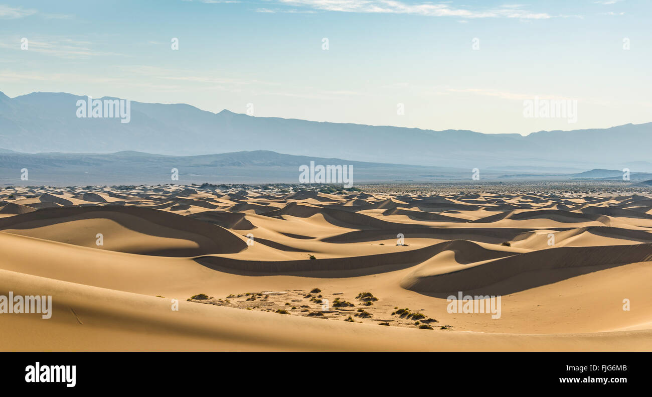 Mesquite Flat dunes de sable, les dunes de sable, les contreforts de l'Amargosa Range derrière, la vallée de la mort Banque D'Images