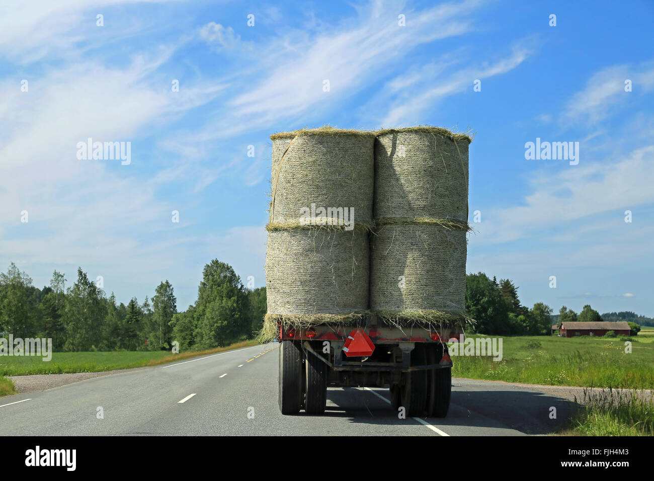 Tracteur transporte des balles de foin sur la remorque agricole le long de la route à l'été. Banque D'Images