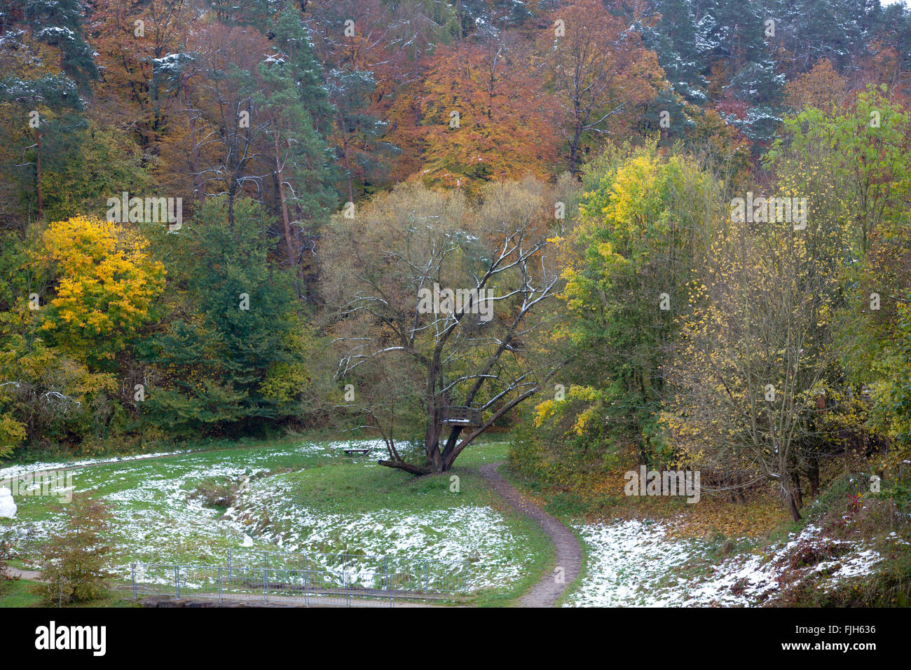 Première neige en automne à l'orée d'un bois, feuilles colorées intenses, la vallée avec petit ruisseau et sentier Banque D'Images Première neige en automne à l'orée d'un bois, feuilles colorées intenses, la vallée avec petit ruisseau et sentier Banque D'Images