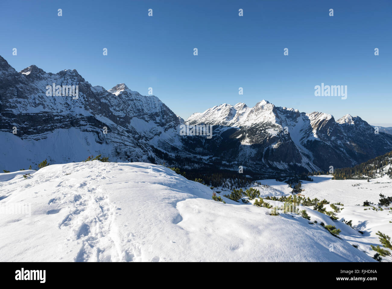 Vue depuis le mont Ladizköpfel sur la neige couverts peu ordinaire d'érable et de Karwendel en automne, Tirol, Autriche Banque D'Images