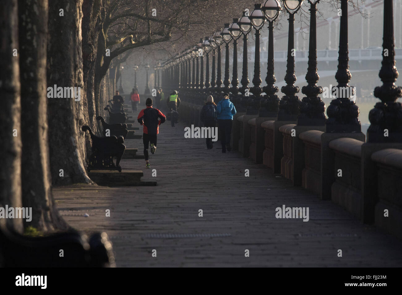 Londres, 24 février 2016. Un runner jogging le long de la Tamise à Cheyne Walk à mesure que le soleil se lève sur un froid mais claire Londres mo Banque D'Images